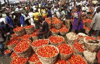 Display of tomatoes at an open market