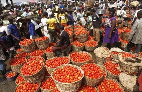Between 50 to 60 heavy duty truck loads of tomato are imported daily from Burkina Faso