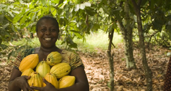 Fairtrade Africa supports alliance on climate action and living incomes in cocoa regions