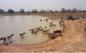 Residents of Kpuntaliga and Kulaa share water with animals