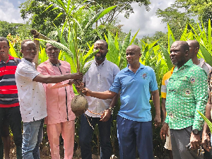 10,000 seedlings were distributed to farmers for free