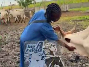 Alidu Seidu at his cattle farm