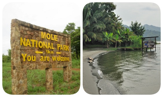 Mole National Park and Lake Bosomtwe