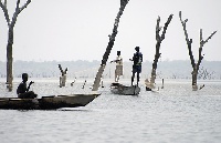 Tree stumps on the Volta Lake