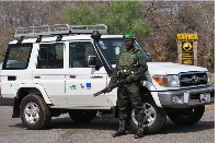 A staff of Mole National Park Toyota Land Cruiser all-terrain vehicle
