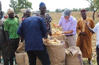 Officials from Nestle assisting the farmers with the cereal