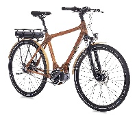 A picture of bamboo electric cycle