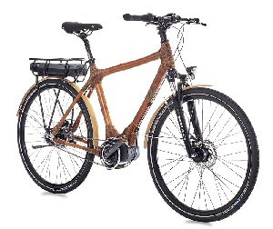 Bamboo Electric Bicycle