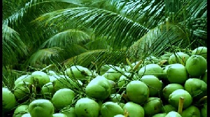 The retail price of coconut has risen, causing consumer complaints in Zanzibar