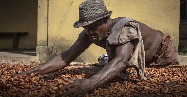 The production of cocoa beans in 2022/23 is envisaged to overtake the level recorded during 2021/22
