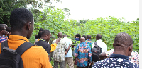Participants visited a cassava farm as part of the workshop