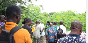 Participants visited a cassava farm as part of the workshop