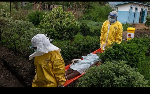 Scientists working to develop new Ebola vaccine but warn 'no shortcuts'