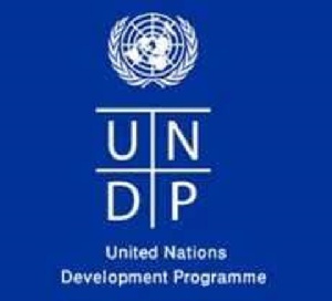 United Nations Development Programme (UNDP)