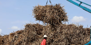 South African farmers are struggling to compete with cheap imports, including from neighbouring Eswa