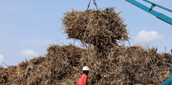 South African farmers are struggling to compete with cheap imports, including from neighbouring Eswa