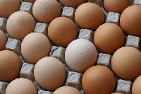 File photo: Eggs