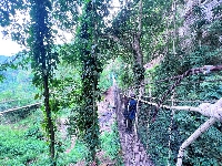 UNDP Ghana Forest Restoration canopy walk way