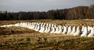 Poland builds eastern border fortifications