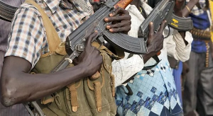 The White Army militia fought alongside Vice-President Riek Machar during the civil war that broke o