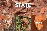 Watch as workers discover multiple skeletons while digging a foundation for a building