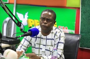 Galamsey menace: Stop all mining operations for six months - Kwesi Pratt suggests