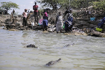Kenya relocates crocodiles as rising waters bring them into conflict with humans