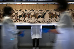 Bayeux Tapestry smuggled into Britain for first visit in 1,000 years