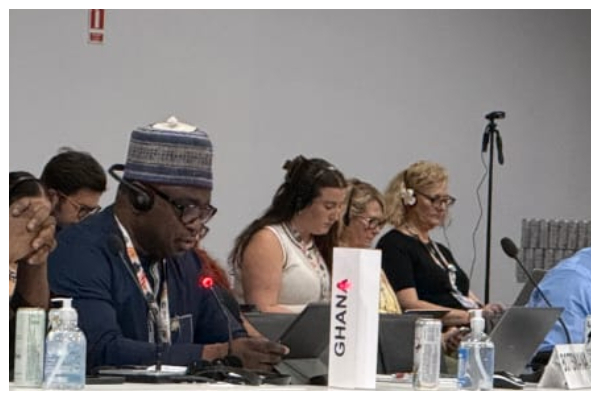 Issifu Seidu is the Minister of State  in charge of Climate Change and Sustainability