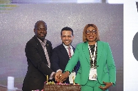 Perry Addo-Quaye, Dr. Reda Helal and Chinwe Uzoho