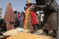 Maize is displayed by a trader at the market in Jibia, Nigeria