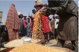 Maize is displayed by a trader at the market in Jibia, Nigeria
