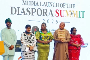 Diaspora Summit.jpeg