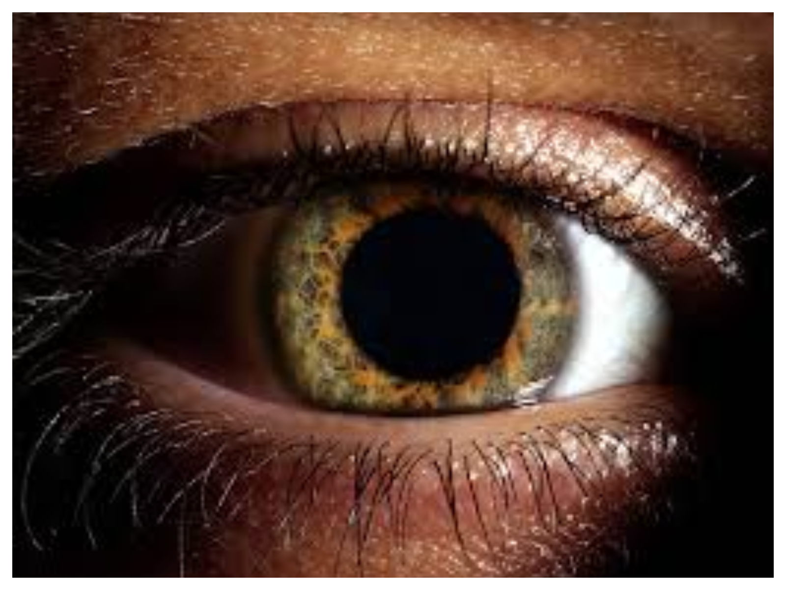 ghanaweb.com - EXPLAINER: Understanding eye pressure and why regular medical checks matter