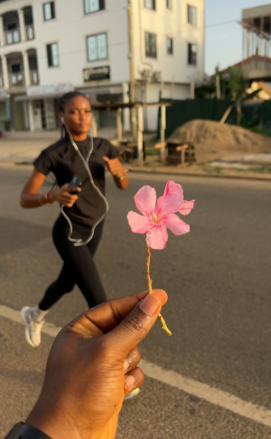 Second Edition Spintex Run X Walk 